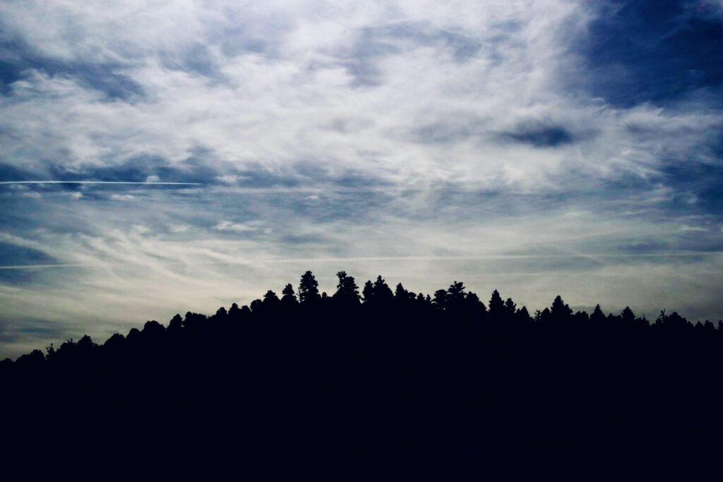 Silhouette of a pine tree mountain top